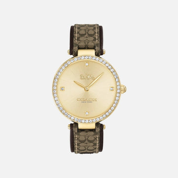 Coach Park Watch