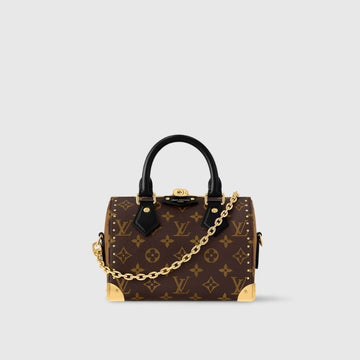 LOU-IS VU-IT-TON CRUISE SPEEDY BAG