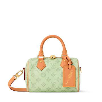 LOU-IS VU-IT-TON SPEEDY BANDOULIERE 20 HANDBAG