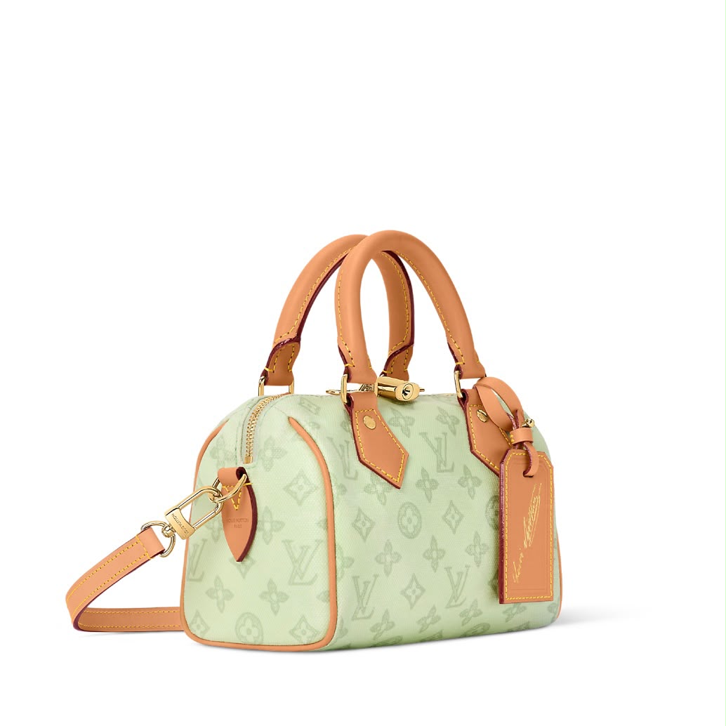 LOU-IS VU-IT-TON SPEEDY BANDOULIERE 20 HANDBAG