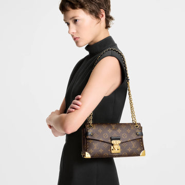 LOU-IS VU-IT-TON TRUNKIE EAST WEST BAG