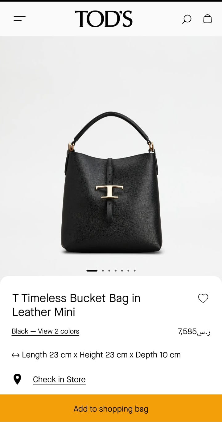 T-O-D-S T TIMELESS BROWN BUCKET BAG